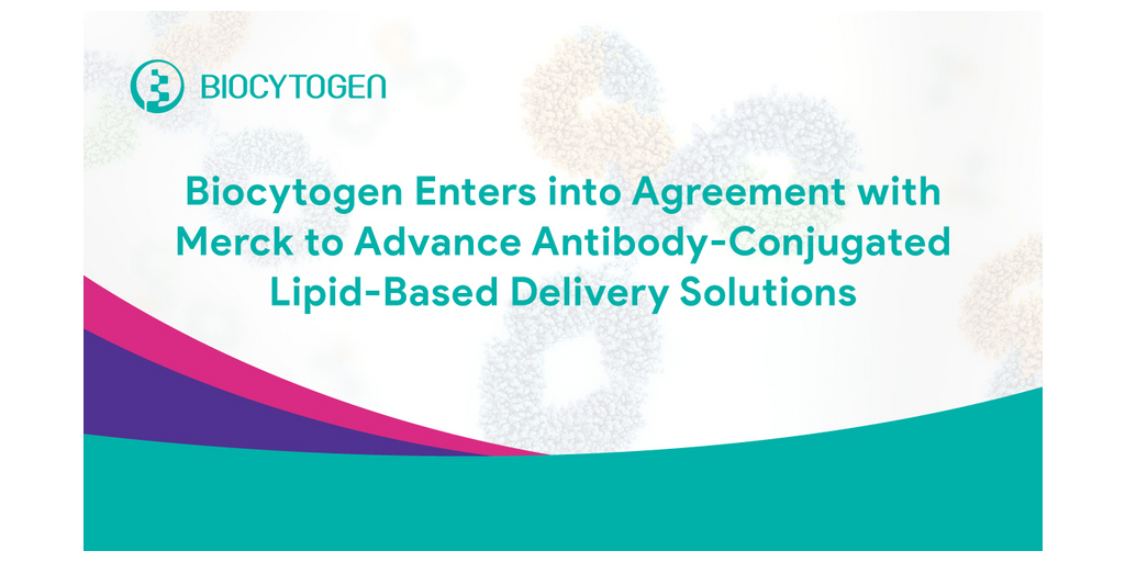 【新品】POLICY ポリシー 免疫システム美容シリーズ　5点　イミュニティ IMMUNITY［イミュニティ］45本入｜MUSASHI公式オンラインショップ