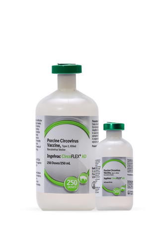 original Product shot of INGELVAC CIRCOFLEX® AD - a new PCV2 vaccine from Boehringer Ingelheim