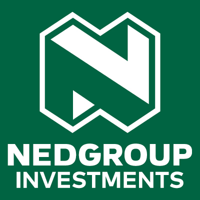 Nedgroup Investments Logo