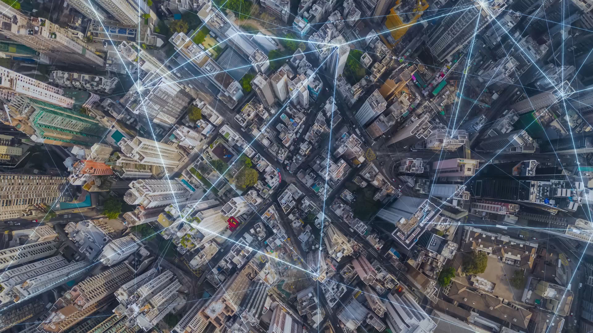 thumbnail Credo Unveils Bluebird 1.6T Optical DSP for Low-Power, High-Bandwidth, and Ultra-low Latency AI Networks