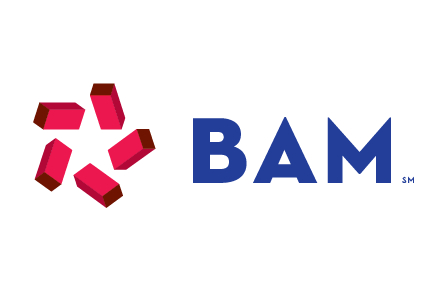 BAM Mutual Logo