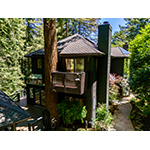 119_Marguerite_Mill_Valley_Estate%2C_CA_exterior_photo.jpg