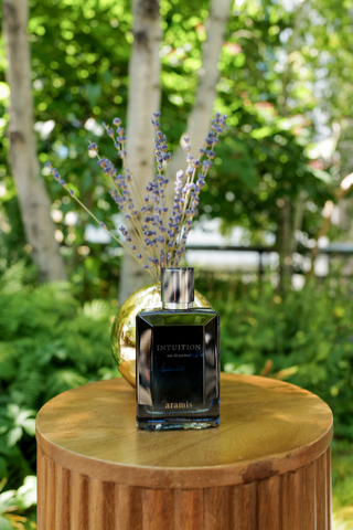 thumbnail ARAMIS Intuition系列香氛高线公园快闪活动现场（由BFA提供）