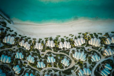 thumbnail The InterContinental Red Sea resort design is inspired by coral reefs.