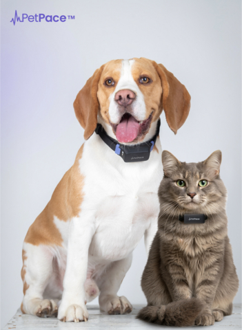 PetPace™ Launches World's First AI Smart Collar that Includes 24/7 ...