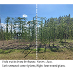  KIRIN sviluppa una tecnologia per aumentare la tolleranza al caldo e alla siccità nelle piantine di luppolo, contribuendo a una fornitura sostenibile di ingredienti della birra nell’ambito del cambiamento climatico