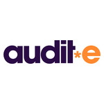 Audit_E_logo-Bospar.jpg