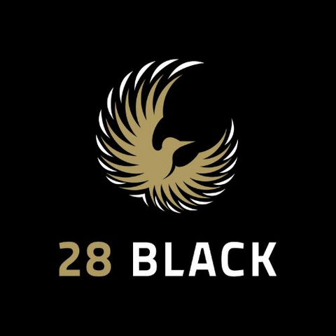 Yinbev Beverages India Private Limited Logo