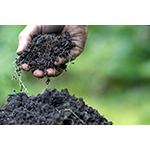  FoodChain ID e Agmatix collaborano per promuovere l'agricoltura rigenerativa con una certificazione basata sull'IA