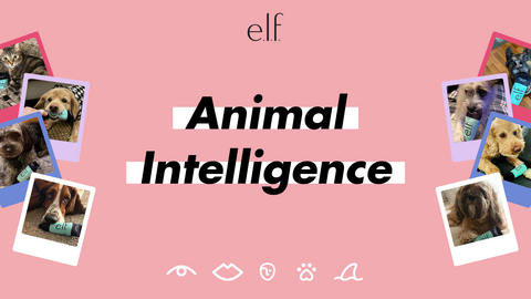 original e.l.f. Cosmetics launched a clever campaign that gives a whole new meaning to AI: Animal Intelligence. Featuring beloved social sensations Luna the Mini Cockapoo, Venus the Two-Faced Cat and Blue Planet Pets, e.l.f. looks to celebrate the joy, emotional intelligence and individuality pets bring to our lives.