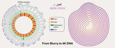 original Dante Labs Diploid Genome