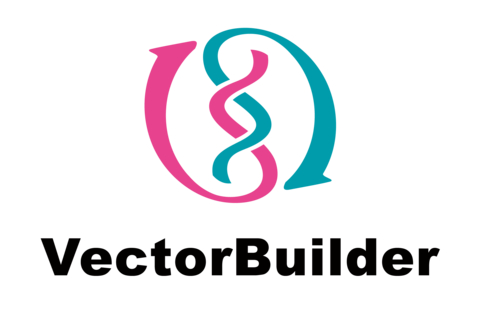 VectorBuilder Logo