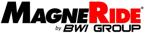BWI Group Logo