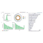 Trieste, L’Aquila, Roma: il triangolo Italiano della genomica al servizio dell’umanità con Dante Labs, Area Science Park e la Sapienza, grazie al nuovo genoma diploide RPE-1, il pezzo mancante per CRISPR, subito pubblicato in California e su Nature