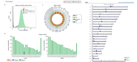 original Genome Diploid RPE-1 