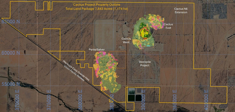 thumbnail FIGURE 4: Cactus Project Mineral Resources