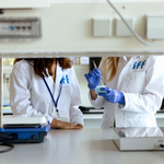  IFF e BASF annunciano una collaborazione strategica per guidare l'innovazione nel campo degli enzimi e dei polimeri