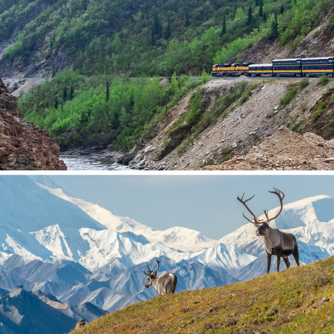 Experience Alaska's interior with UnCruise Adventures.