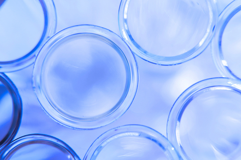 thumbnail Photo credit: IFF