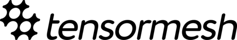 Tensormesh Logo