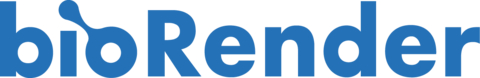BioRender Logo