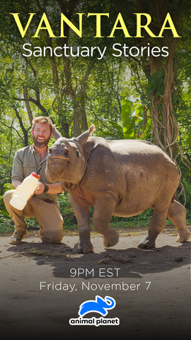 Wildlife biologist and adventurer Forrest Galante takes viewers inside Vantara, the largest wildlife rescue and rehabilitation facility on the planet. For the first time ever, Galante offers an unprecedented look inside the walls of this extraordinary, not-for-profit sanctuary - a world very few have ever been allowed to enter. His six-episode series, Vantara: Sanctuary Stories, premiers November 7th at 9 PM EST on Animal Planet.
