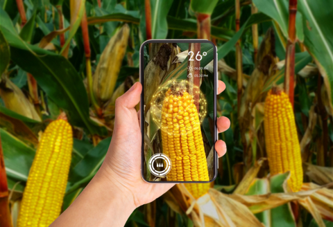 Syngenta opens Cropwise digital platform to developers to co-innovate and tackle agriculture's technology divide