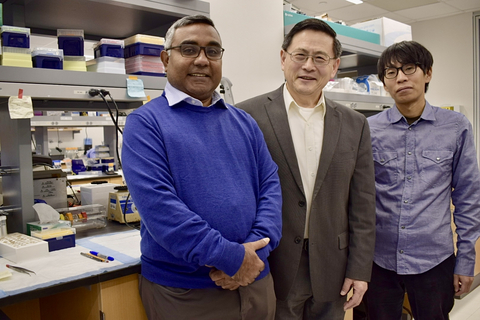 Drs. Monowar Aziz, Ping Wang and Atsushi Murao led the study. (Credit: Feinstein Institutes).