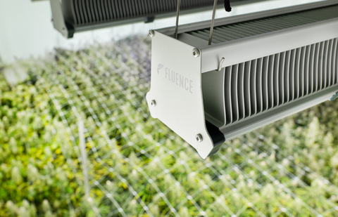 original New VYPR 4 Top Light from Fluence