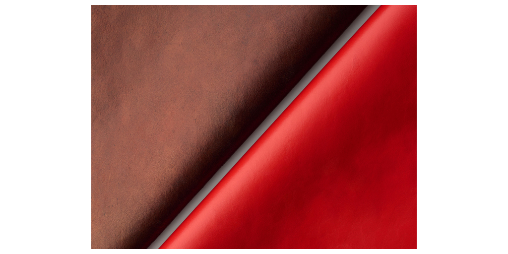  Qorium ottiene un investimento di 22 milioni di EUR per accelerare la commercializzazione di pelle biofabbricata