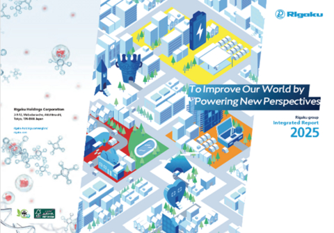 original Integrated Report cover