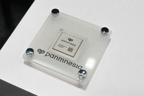 original Panmnesia’s PCIe 6.0/CXL 3.2 Fabric Switch Silicon