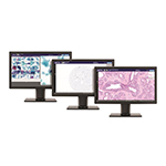Digital_Pathology_Hero_Image.jpg