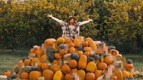 thumbnail Because this time of year isn’t about the pumpkins or the apples. It’s about the gourds.