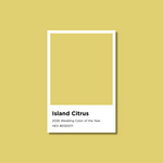 2026_COY_IslandCitrus_Chip_%281%29_%281%29.jpg