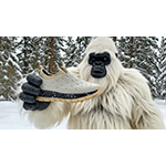 KANE_x_Yeti_Boo_1.jpg