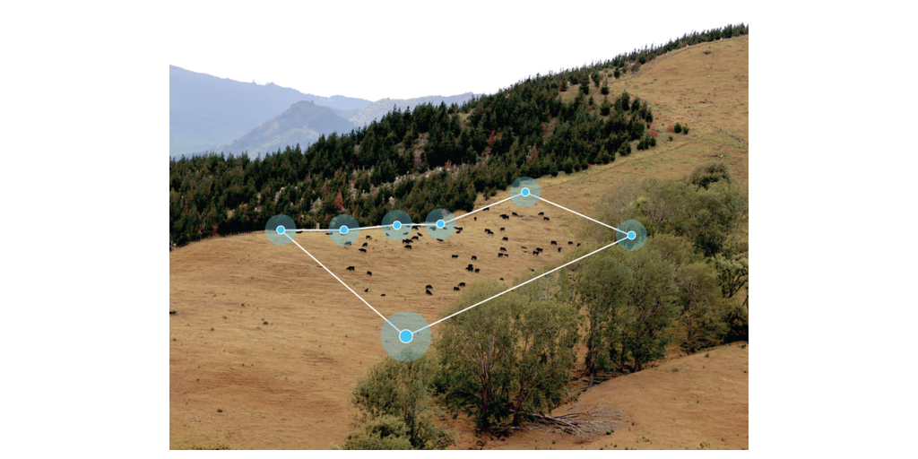 Virtual Collars U.S. Ranchers Create 11,000 Miles of Virtual Fencing With Halter’s ...