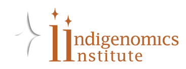 The Indigenomics Institute Logo