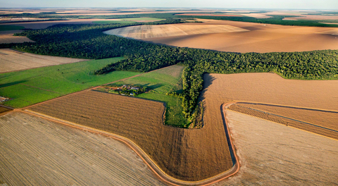 Syngenta’s REVERTE® program honored as Best-in-Class for transforming agriculture