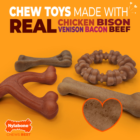 Nylabone Introduces New Collection of Dog Chew Toys Made with REAL Chicken, Bison, Venison, Bacon, and Beef.