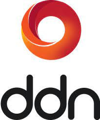 DDN Logo