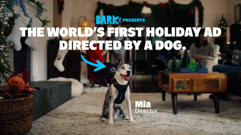 original BARK Shifts Creative Control to the Real Holiday Experts: Dogs