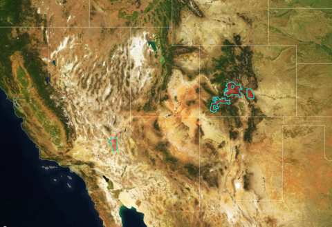Map outlining the focus regions selected by the Vorticity Open-Source Rare Earths initiative for detailed investigation. Areas exhibiting elevated REE potential within these boundaries have been released publicly for open research and exploration use.