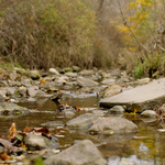 Creek_-_5.jpg