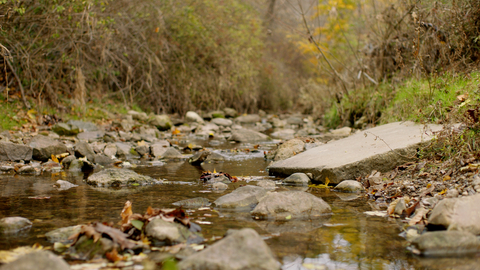 Vantage Data Centers pledges $3M to Lakeshore Natural Resource Partnership to restore Wisconsin’s Valley Creek Corridor and advance water positivity in alignment with local priorities and sustainable commitments.