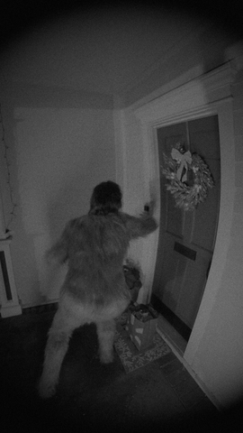 Grinch caught on doorbell camera delivering Walmart Black Friday Deals.