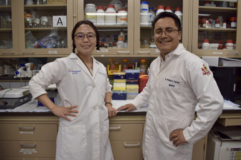 Drs. Chunyan Li and Willians Tambo led the study. (Credit: Feinstein Institutes)