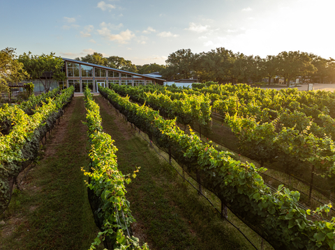 William Chris Vineyards in Hye, Texas in the heart of the Texas Wine Country.