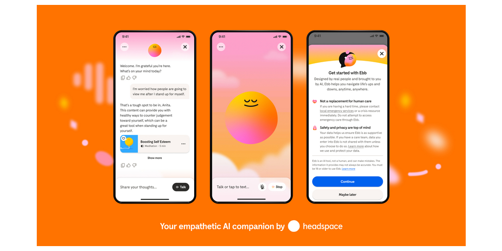 Ebb Voice Launch Product Orange