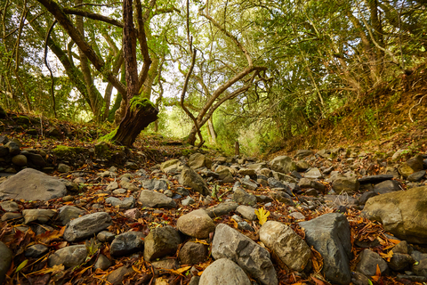 Wagner Ranch Nature Area; photo credit: Adam Weidenbach